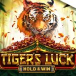 BetSoft's Tiger's Luck Game